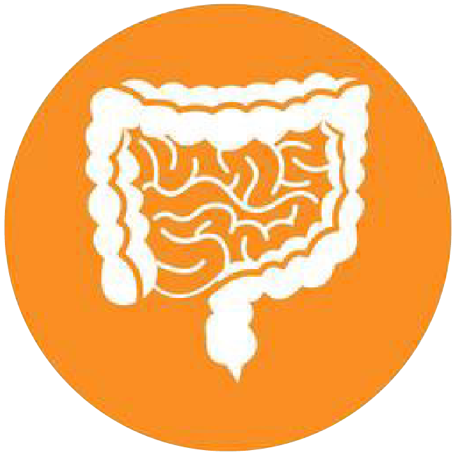 關注職場“腸”態，守護員工健康——上海格瑞特特邀消化內科專家公益系列講座（4）(圖4)